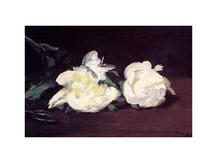 Branch of White Peonies and Secateurs