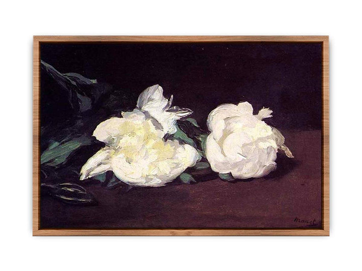 Branch of White Peonies and Secateurs