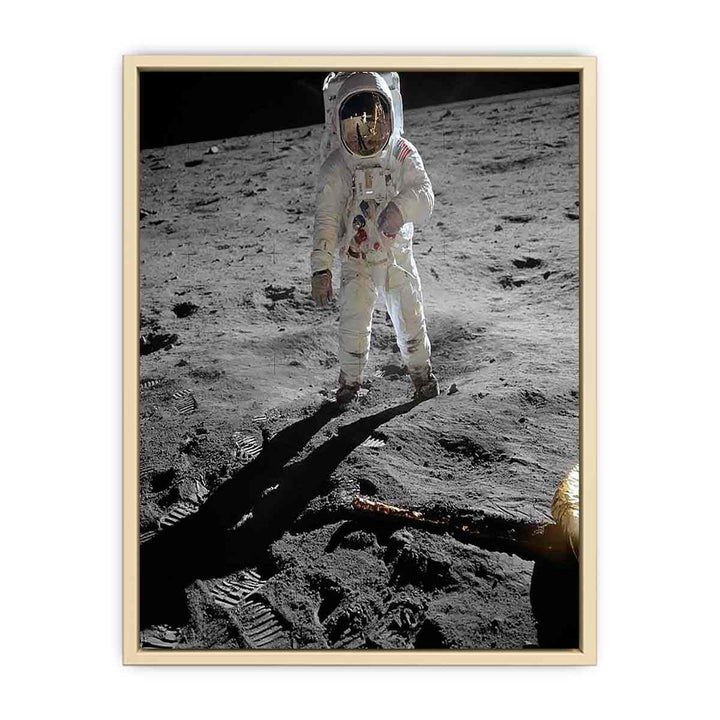 Astronaut Walk on Moon