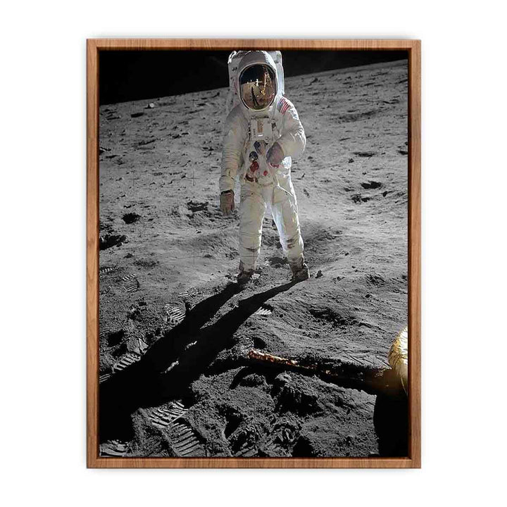 Astronaut Walk on Moon
