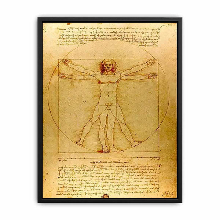 Vitruvian Man by Leonardo Da Vinci