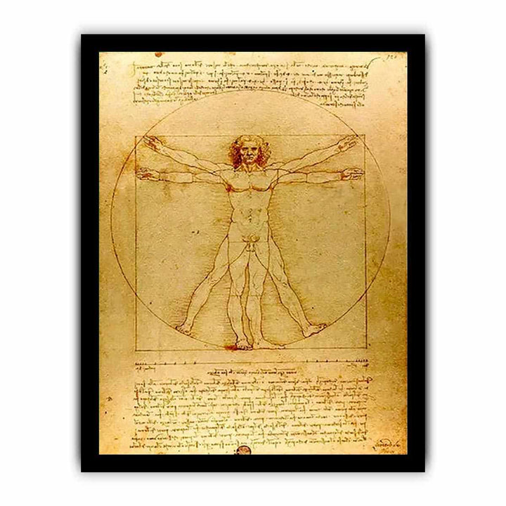 Vitruvian Man by Leonardo Da Vinci