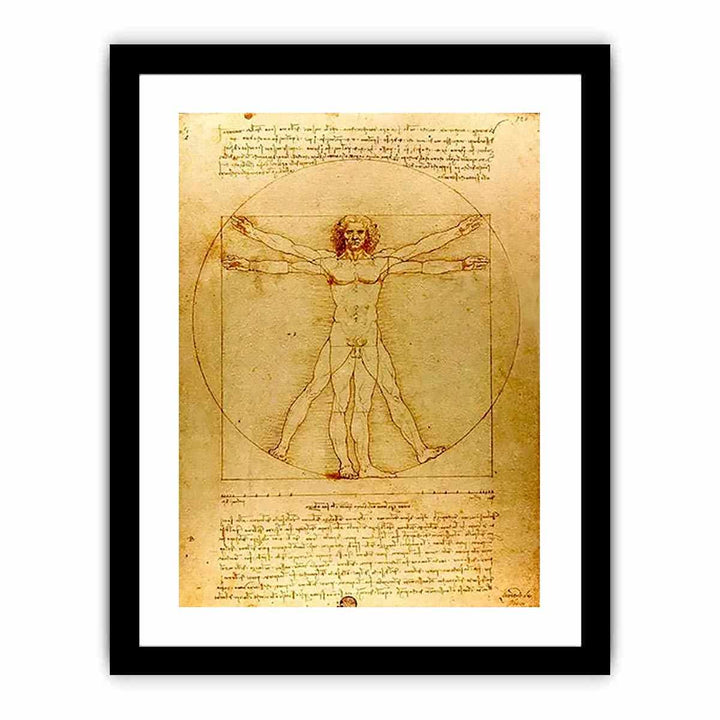Vitruvian Man by Leonardo Da Vinci
