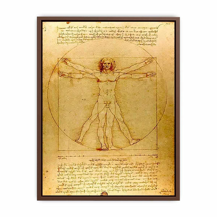 Vitruvian Man by Leonardo Da Vinci