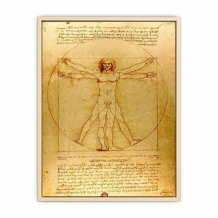 Vitruvian Man by Leonardo Da Vinci