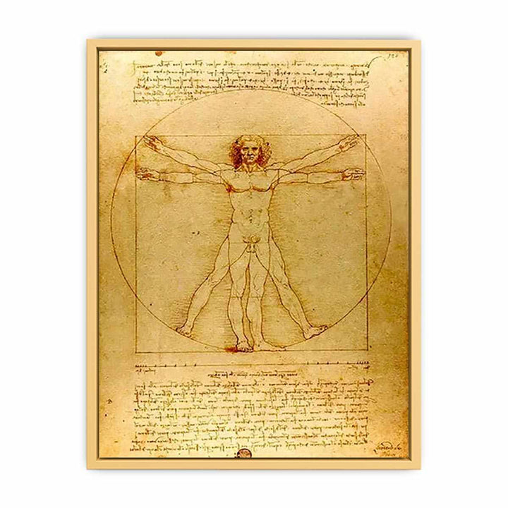 Vitruvian Man by Leonardo Da Vinci