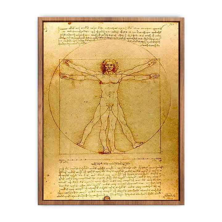 Vitruvian Man by Leonardo Da Vinci