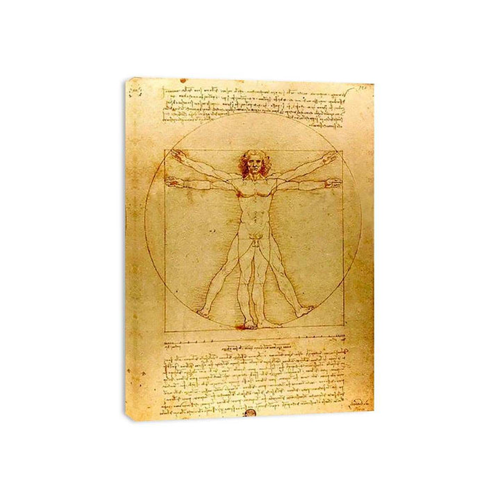 Vitruvian Man by Leonardo Da Vinci