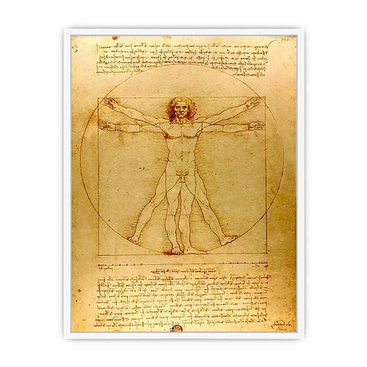 Vitruvian Man by Leonardo Da Vinci