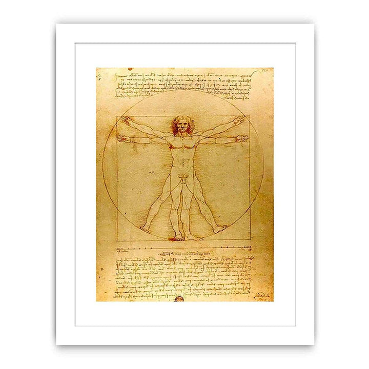 Vitruvian Man by Leonardo Da Vinci