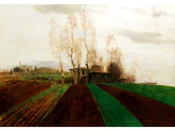 Arable land corridors in the early spring 