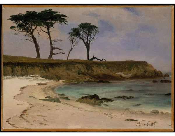 Sea Cove