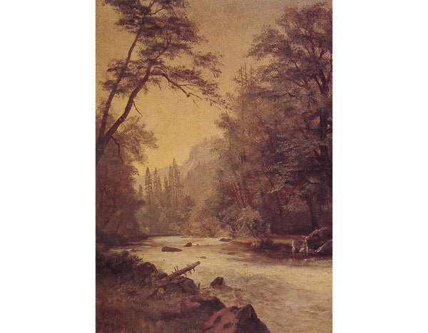 Lower Yosemite Valley