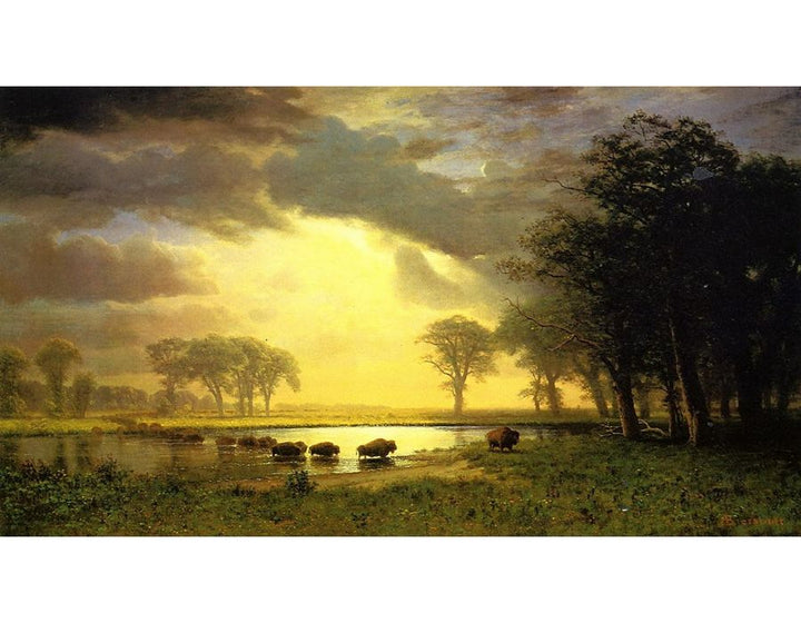 The Buffalo Trail