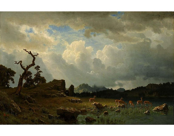 Thunderstorm In The Rocky Mountains