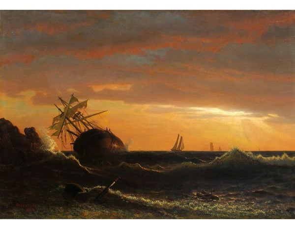 Beached Ship