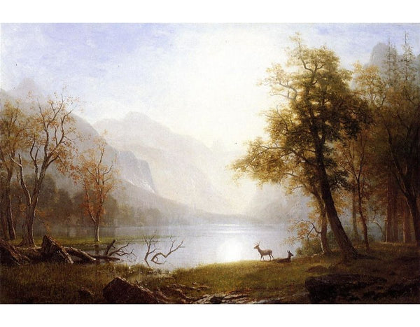 Valley In Kings Canyon