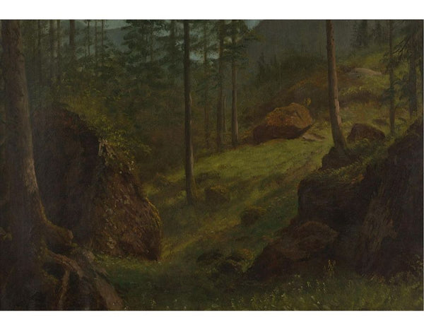Wooded Hillside