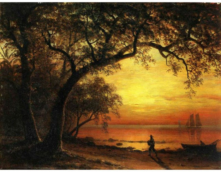 Island Of New Providence