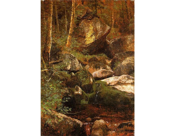 Forest Stream