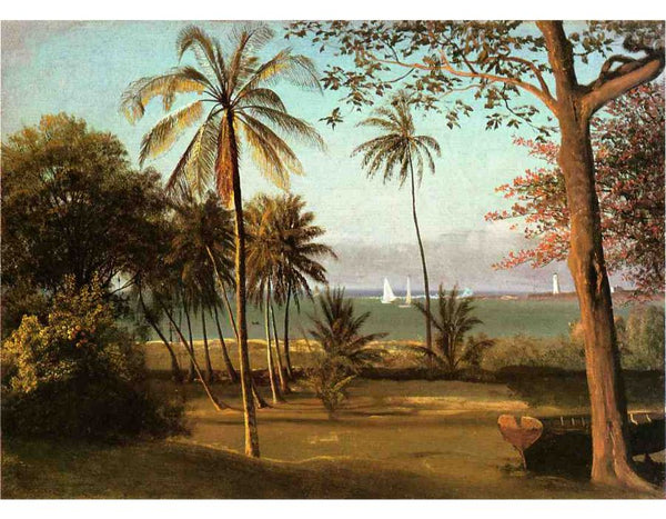 Florida Scene