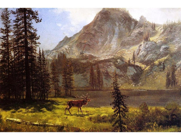 Call Of The Wild