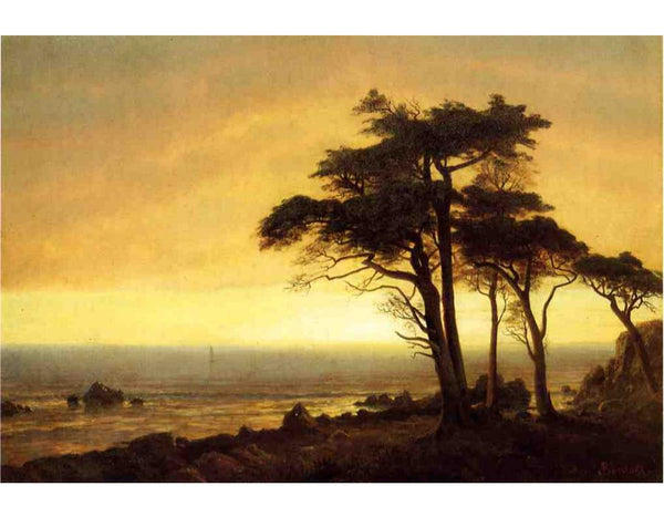 California Coast