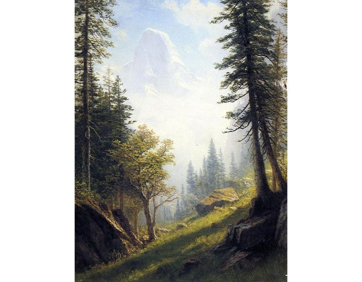 Among The Bernese Alps