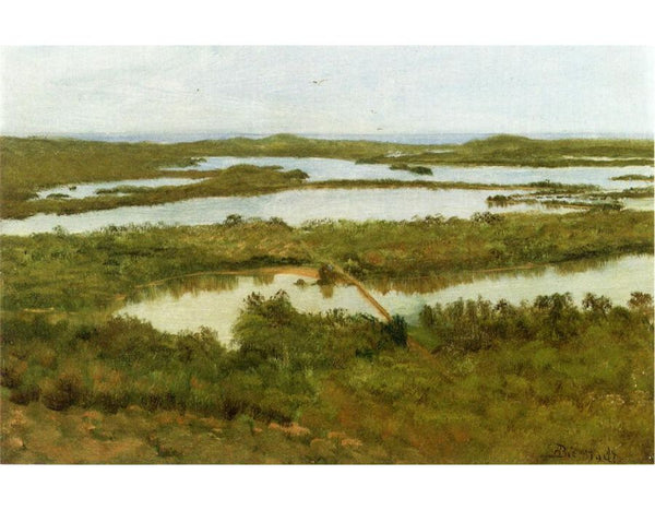 A River Estuary