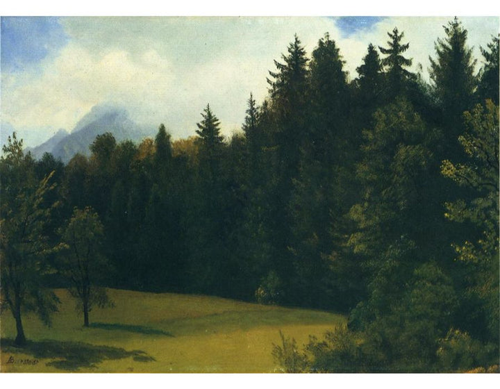 Mountain Resort
