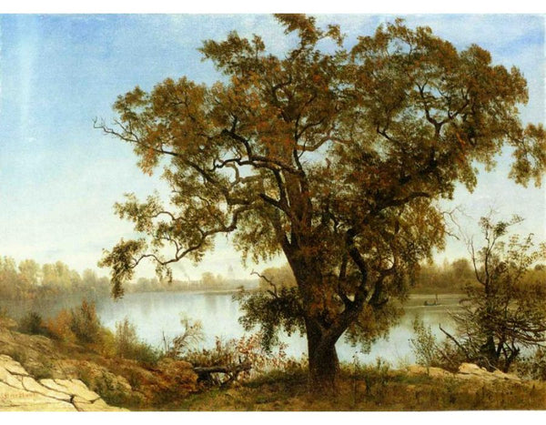 A View from Sacramento