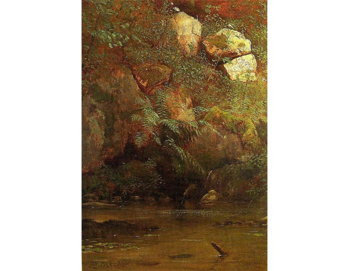 Ferns And Rocks On An Embankment