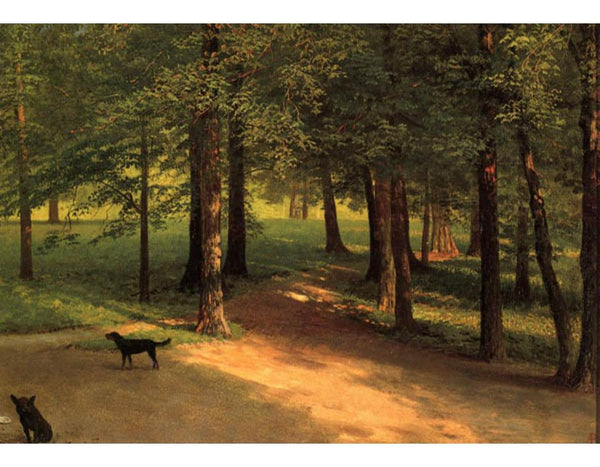 Irvington Woods