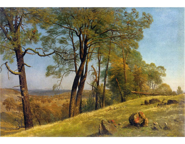 Landscape Rockland County California