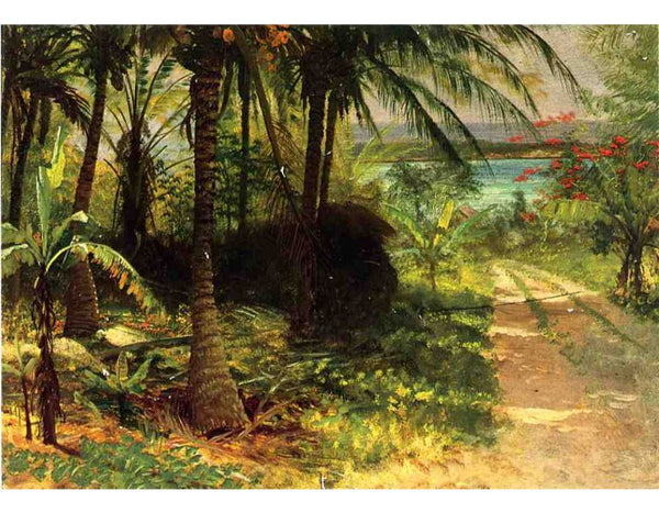 Tropical Landscape
