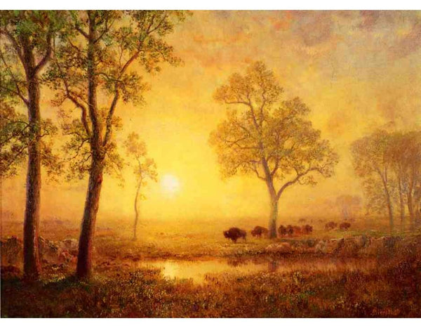 Sunset On The Mountain