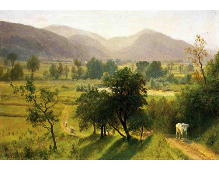 Conway Valley New Hampshire