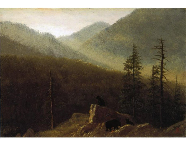 Bears In The Wilderness

