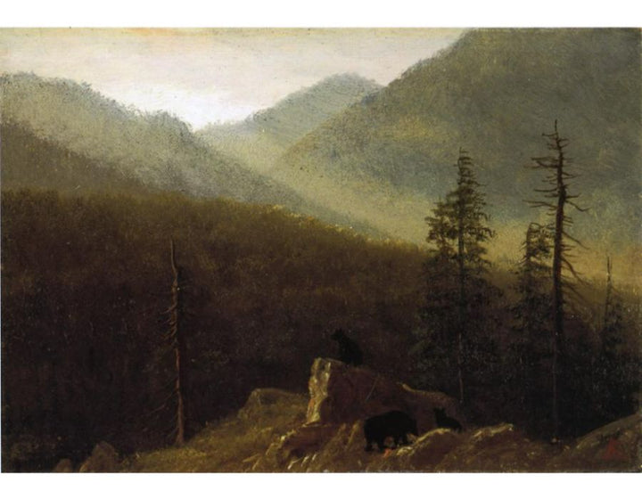 Bears In The Wilderness
