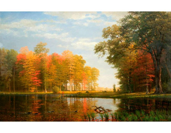 Autumn Woods