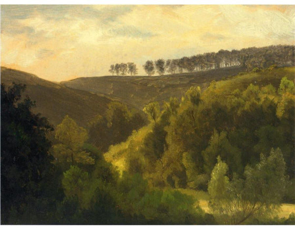 Sunrise Over Forest And Grove
