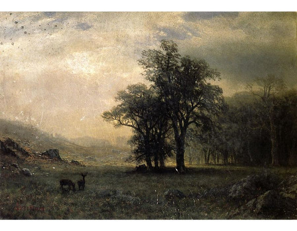 Deer In A Landscape