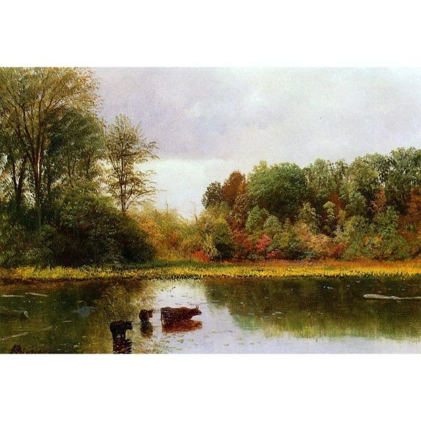 Cows Watering In A Landscape