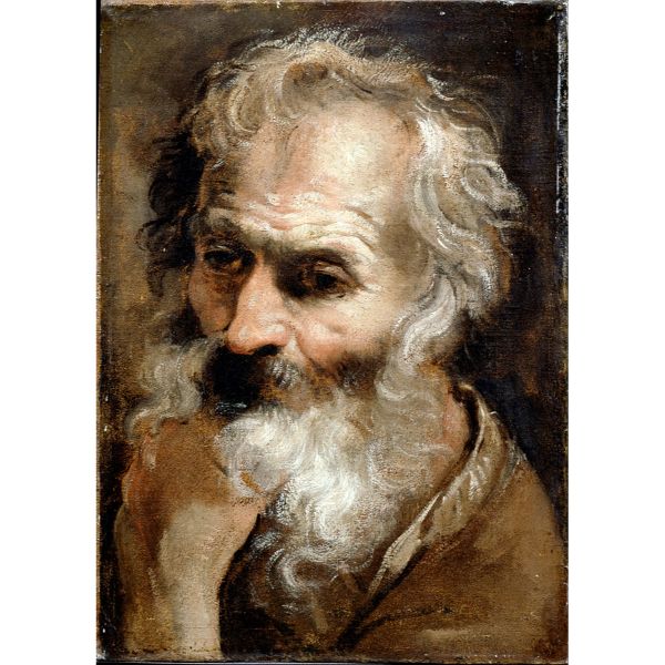 Head of an Old Man 2 
