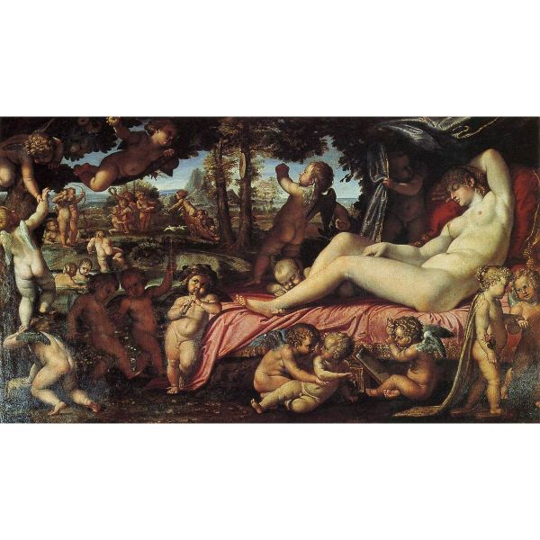 The Sleep of Venus 
