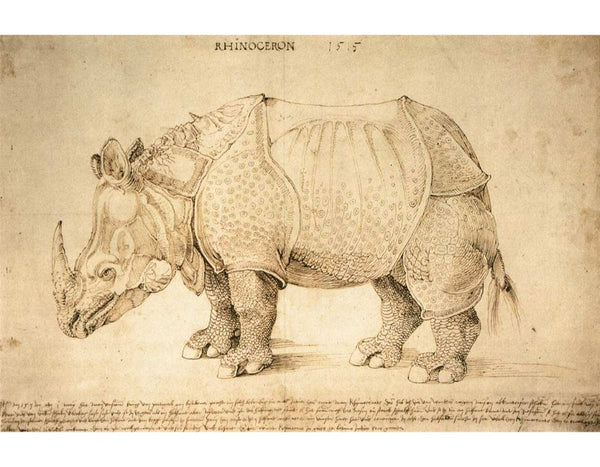 Rhinoceros 2