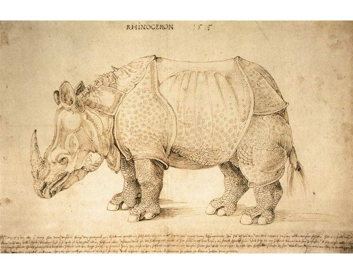 Rhinoceros 2