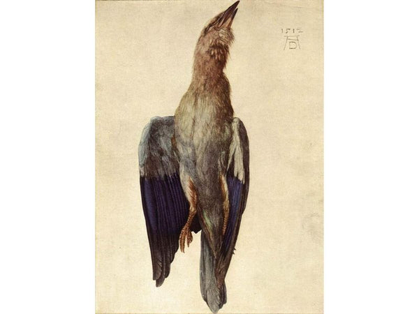 Dead Bluebird 2