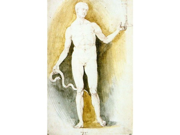 Male Nude with a Glass and Snake, so-called Asclepius