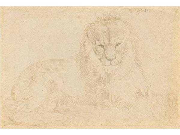 Lion 2